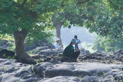 students sketching under tropical trees